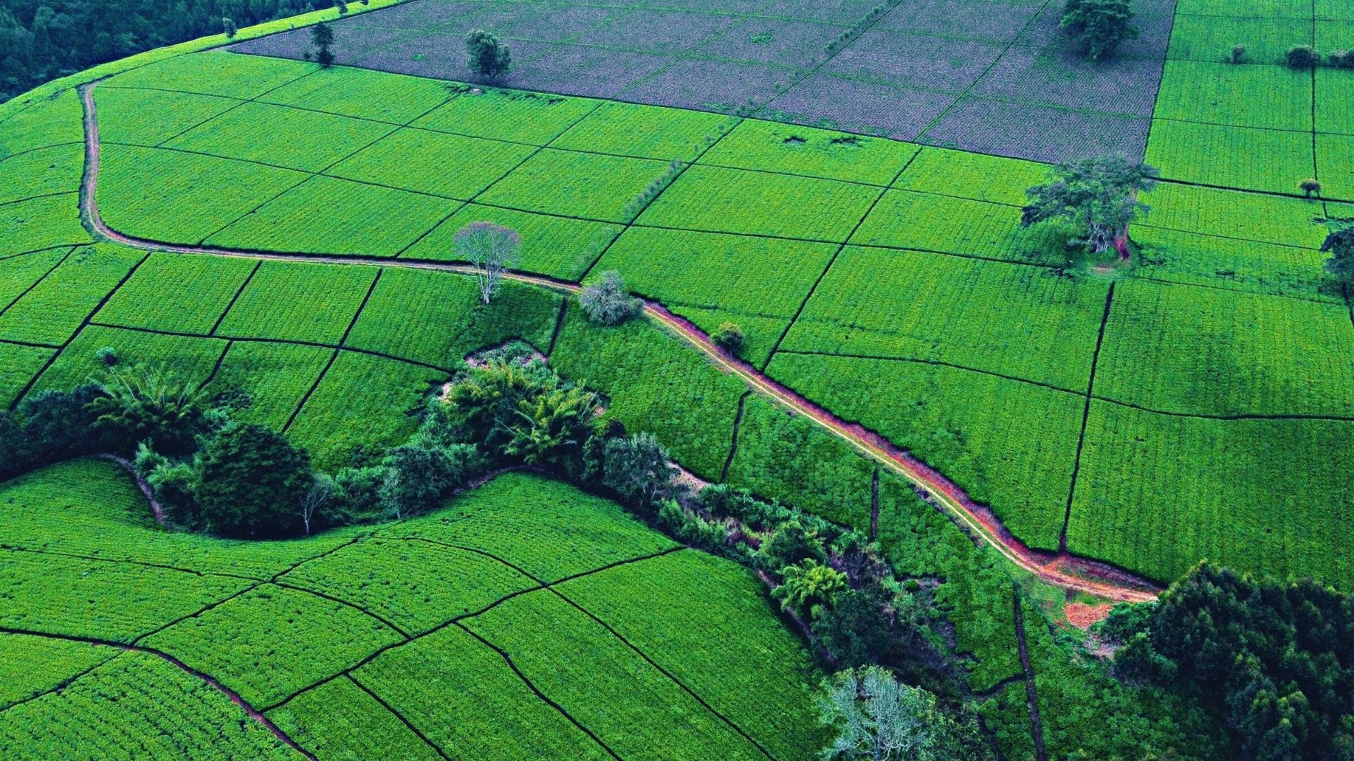 Common Land Frauds  and How to Avoid Them